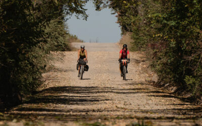 Bikepacking Roots