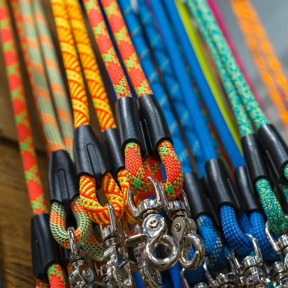 Dog-leash-clasps-colorful-rope Birds like the protonotary warbler and bottomlands like Cut-Off Creek WMA are vital to a thriving ecosystem's delicate balance.
Photography courtesy of Arkansas Game and Fish Commission