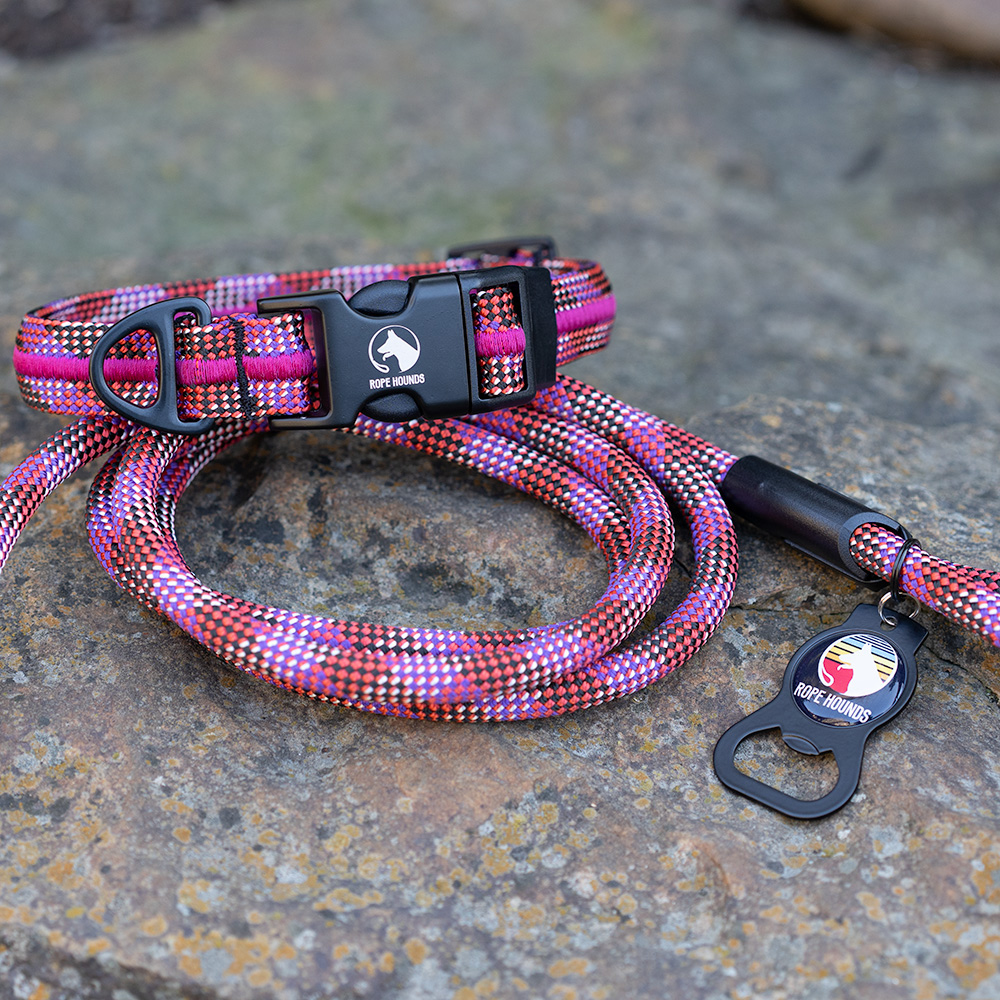 PurpleFlash-Leash-collar