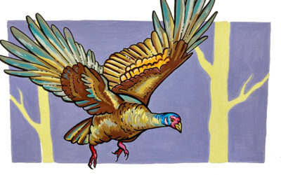 Turkey Trail