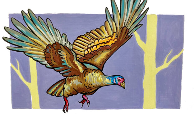 Turkey Trail