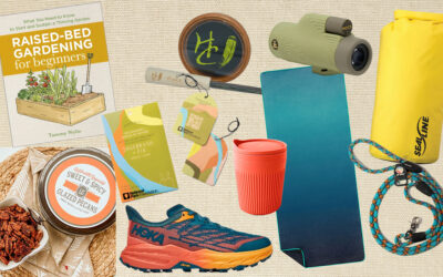 Sunshine and Sundries
