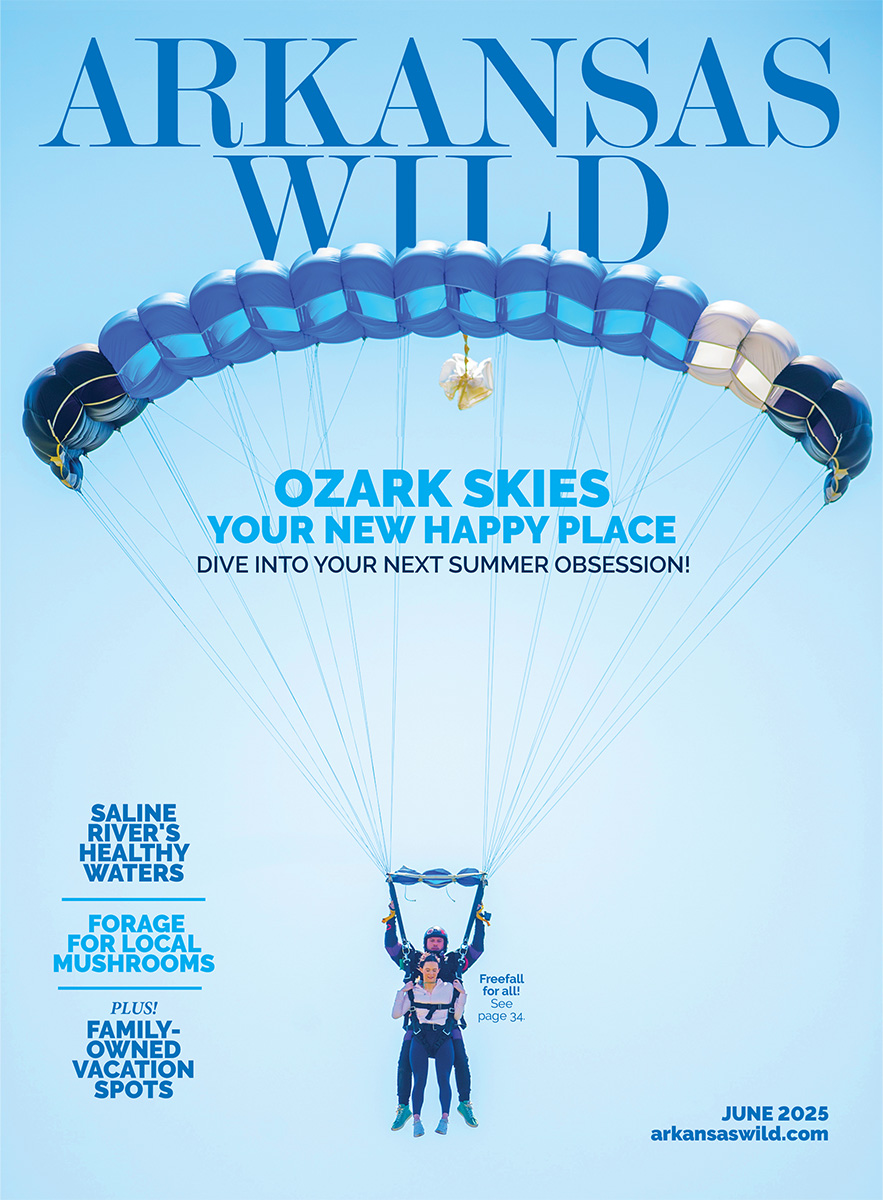 AR Summer WILD 2025 cover