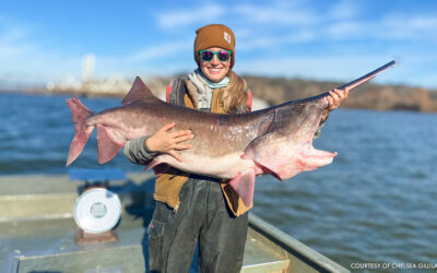 Wild Arkansas
